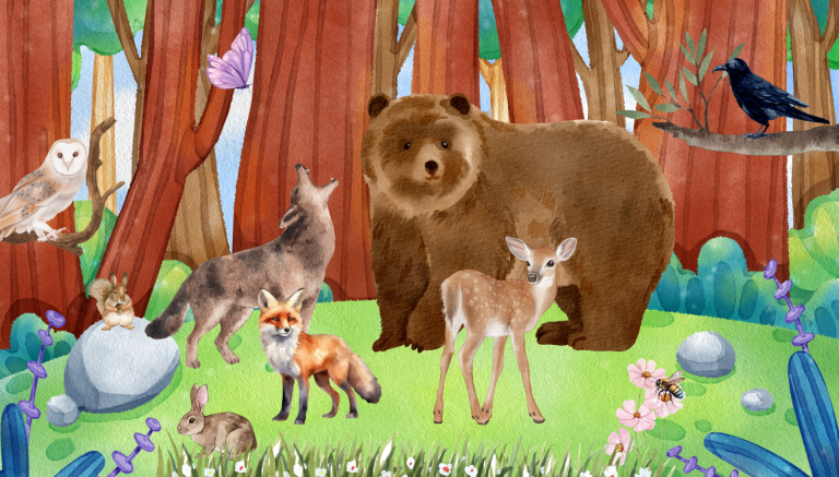 Animales del Bosque