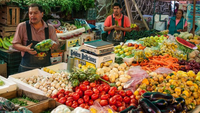 Un Viaje al Mercado