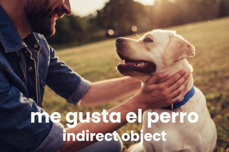 Personal Reaction Verbs: A Soft Lead Into IDO