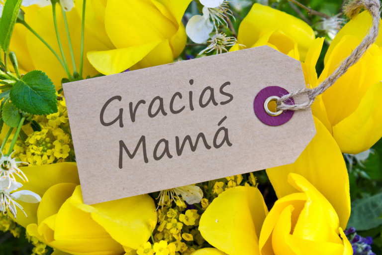 Día de las Madres y las Ovejas!