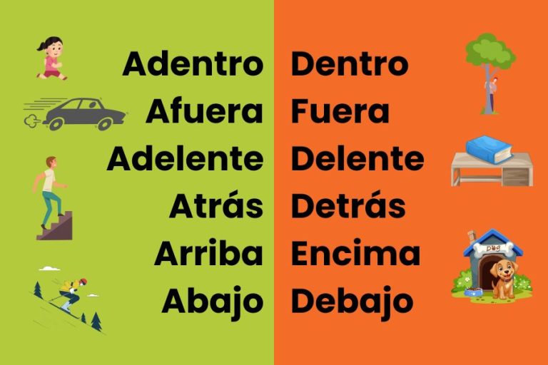 Location and Movement Palabras