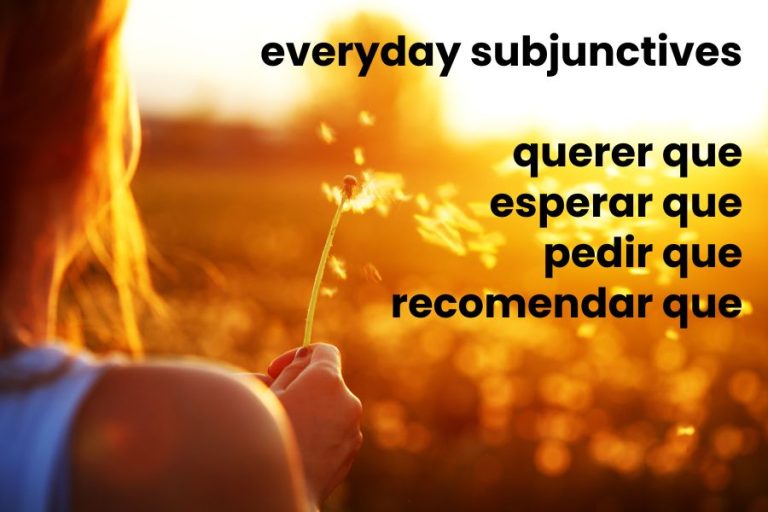Everyday Subjunctives