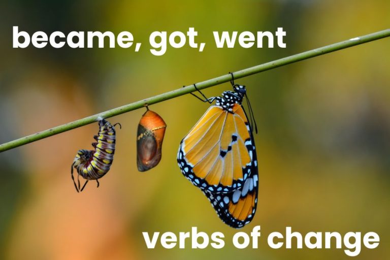 Verbs of Change