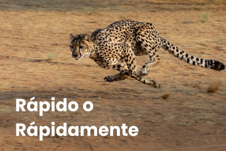 Rápido o Rápidamente