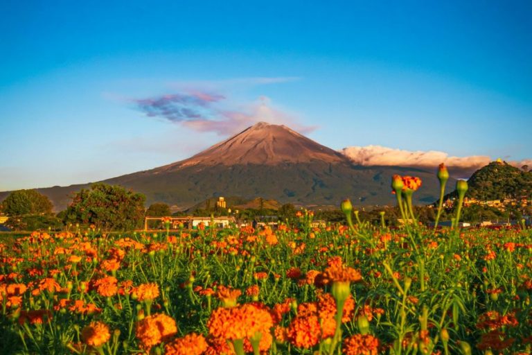 Cinco sentidos en Atlixco